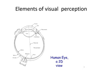 Elements of visual perception
Human Eye,
a 2D
view 3
 