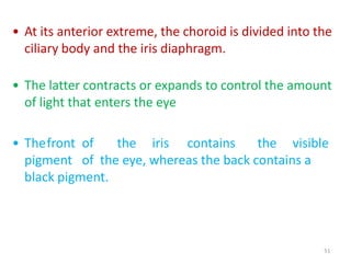 51
• At its anterior extreme, the choroid is divided into the
ciliary body and the iris diaphragm.
• The latter contracts or expands to control the amount
of light that enters the eye
• Thefront of the iris contains the visible
pigment of the eye, whereas the back contains a
black pigment.
 