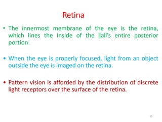 53
Retina
• The innermost membrane of the eye is the retina,
which lines the Inside of the ǁall’s entire posterior
portion.
• When the eye is properly focused, light from an object
outside the eye is imaged on the retina.
• Pattern vision is afforded by the distribution of discrete
light receptors over the surface of the retina.
 