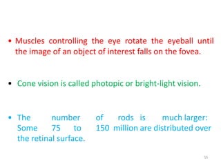55
• Muscles controlling the eye rotate the eyeball until
the image of an object of interest falls on the fovea.
• Cone vision is called photopic or bright-light vision.
• The number of rods is much larger:
Some 75 to 150 million are distributed over
the retinal surface.
 