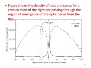 • Figure shows the density of rods and cones for a
cross section of the right eye passing through the
region of emergence of the optic nerve from the
eye.
56
 
