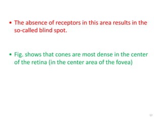 57
• The absence of receptors in this area results in the
so-called blind spot.
• Fig. shows that cones are most dense in the center
of the retina (in the center area of the fovea)
 