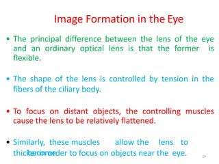 Image Formation in the Eye
• The principal difference between the lens of the eye
and an ordinary optical lens is that the former is
flexible.
• The shape of the lens is controlled by tension in the
fibers of the ciliary body.
• To focus on distant objects, the controlling muscles
cause the lens to be relatively flattened.
• Similarly, these muscles allow the lens to
becomethicker in order to focus on objects near the eye. 24
 