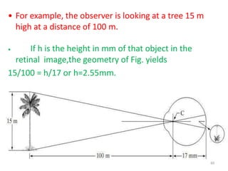 • For example, the observer is looking at a tree 15 m
high at a distance of 100 m.
• If h is the height in mm of that object in the
retinal image,the geometry of Fig. yields
15/100 = h/17 or h=2.55mm.
60
 