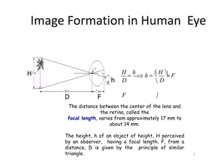 Image Formation in Human Eye
H
h
D F
The distance between the center of the lens and
the retina, called the
focal length, varies from approximately 17 mm to
about 14 mm.
The height, h of an object of height, H perceived
by an observer, having a focal length, F, from a
distance, D is given by the principle of similar
triangle.
D
F
7
 
D

H

h
 h   H F
 