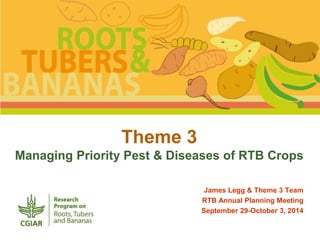 Theme 3 
Managing Priority Pest & Diseases of RTB Crops 
James Legg & Theme 3 Team 
RTB Annual Planning Meeting 
September 29-October 3, 2014 
 