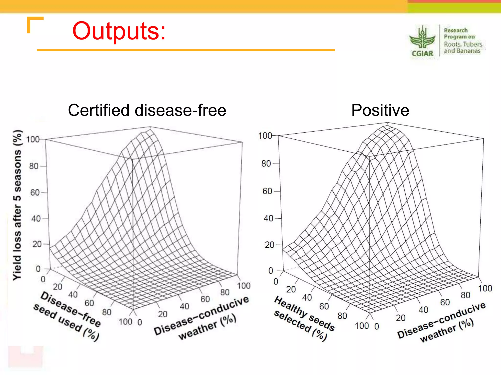 Certified disease-free
seed
Positive
selection
Outputs: