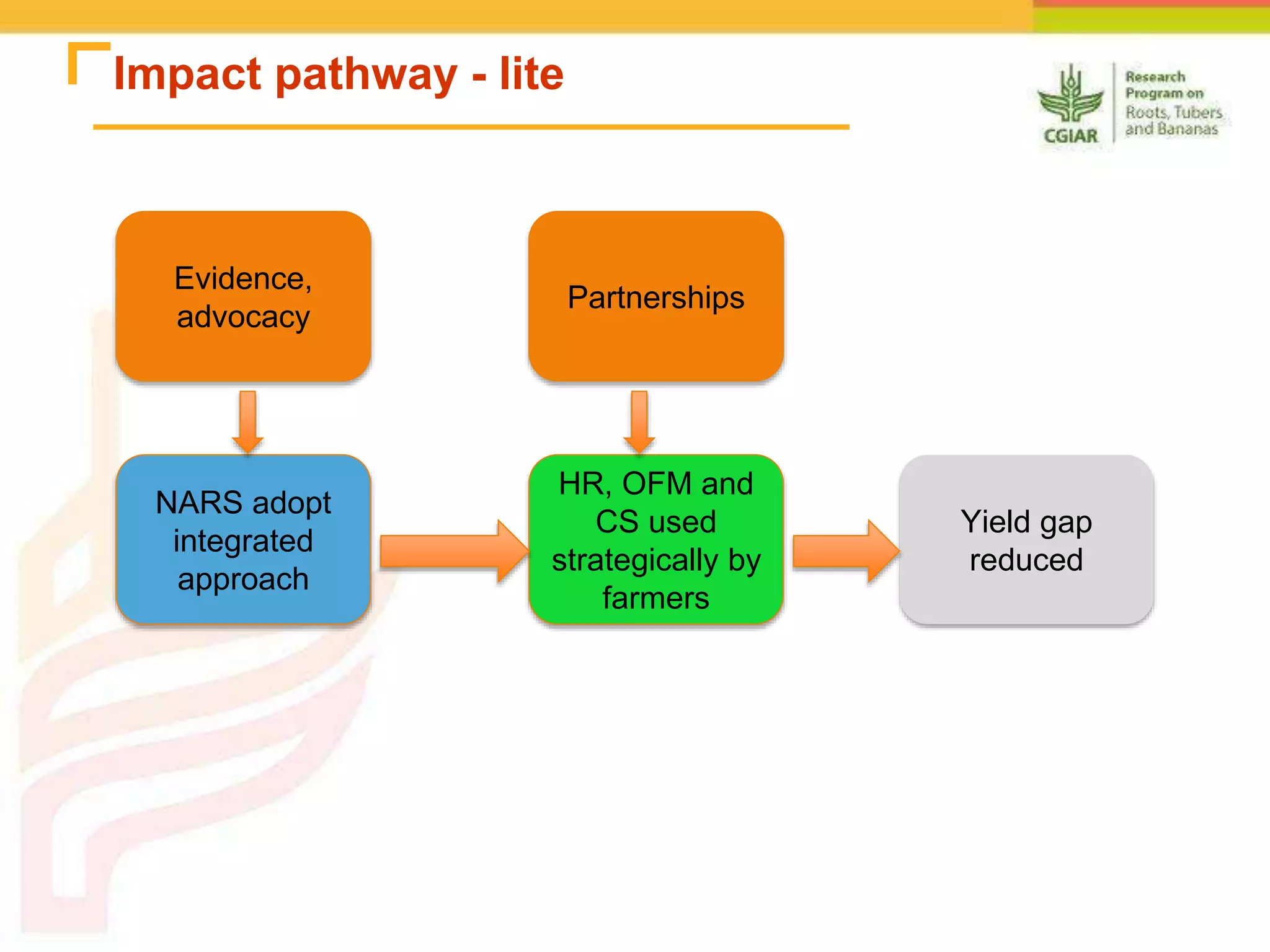 Impact pathway - lite
NARS adopt
integrated
approach
Yield gap
reduced
HR, OFM and
CS used
strategically by
farmers
Evidence,
advocacy
Partnerships