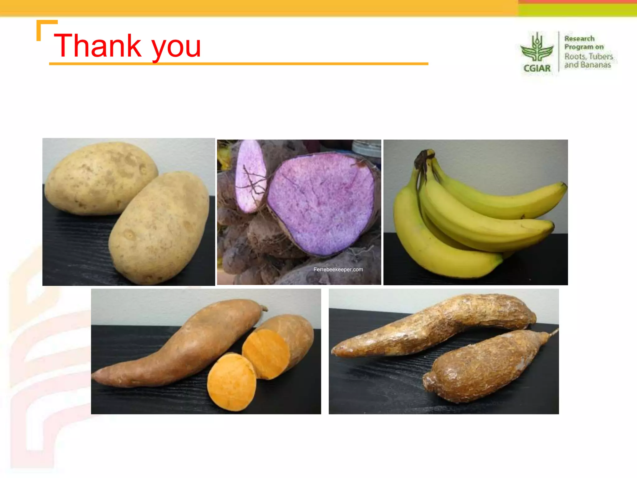 Thank you
Ferrebeekeeper.com