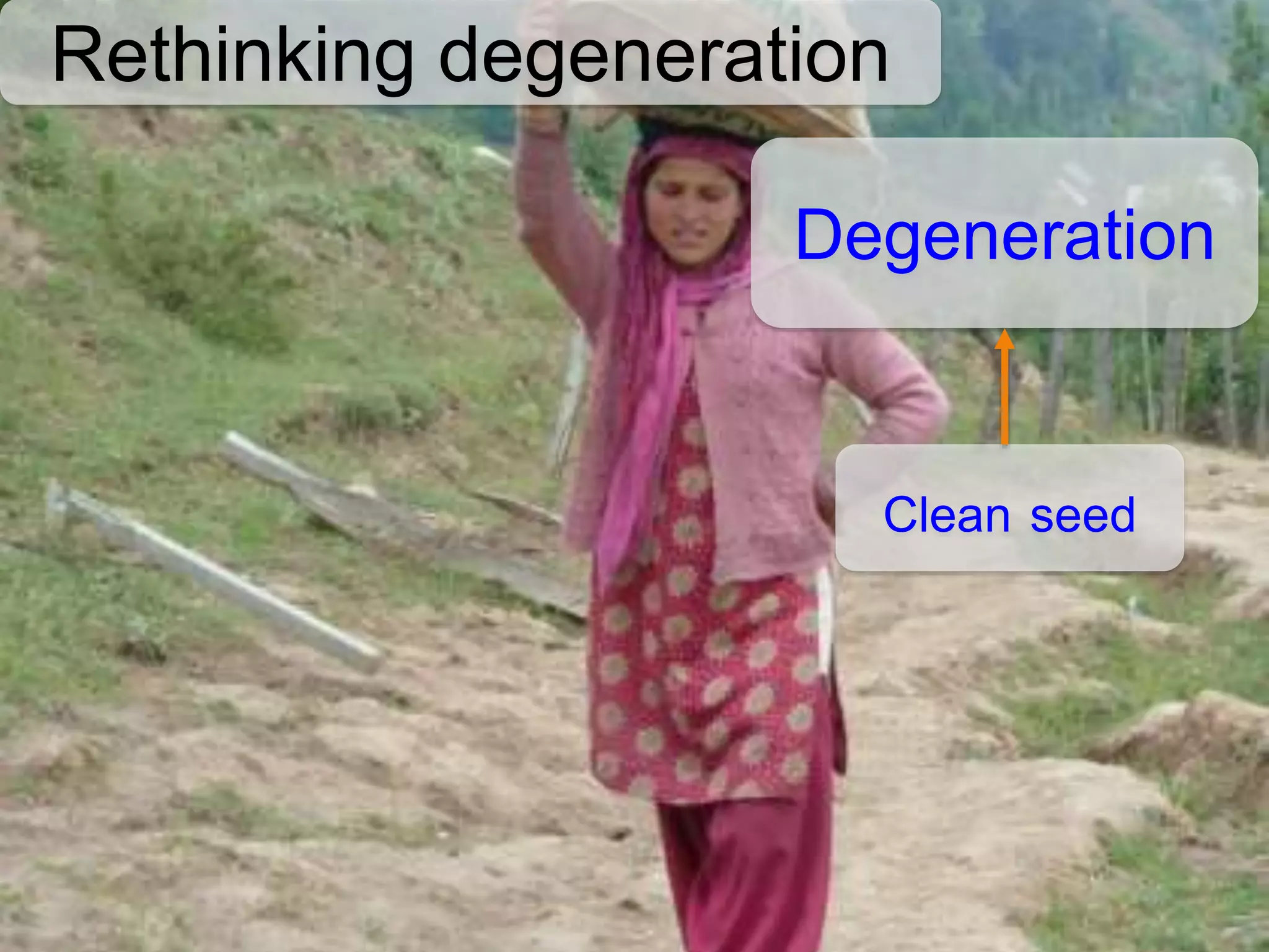Rethinking degeneration
Degeneration
Clean seed