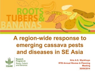 A region-wide response to 
emerging cassava pests 
and diseases in SE Asia 
Kris A.G. Wyckhuys 
RTB Annual Review & Planning 
Meeting 
30/09/2014 
 