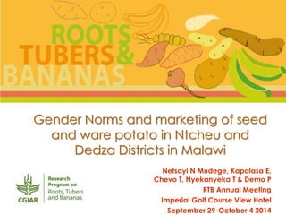 Gender Norms and marketing of seed 
and ware potato in Ntcheu and 
Dedza Districts in Malawi 
Netsayi N Mudege, Kapalasa E, 
Chevo T, Nyekanyeka T & Demo P 
RTB Annual Meeting 
Imperial Golf Course View Hotel 
September 29-October 4 2014 
 