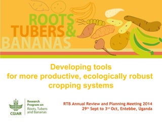 Developing tools 
for more productive, ecologically robust 
cropping systems 
RTB Annual Review and Planning Meeting 2014 
29th Sept to 3rd Oct, Entebbe, Uganda 
 
