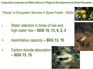 “Values” or Ecosystem Services in Spree Forest – SDGs
• Water retention in times of low and
high water rise – SDG 15, 13, 6, 2, 3
• Assimilative capacity – SDG 13, 15
• Carbon dioxide absorption
– SDG 13, 15
Integrating Landscape and Water Balance in Regional Development and Global Perception
 