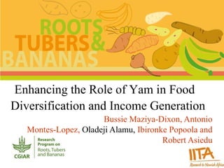 Enhancing the Role of Yam in Food 
Diversification and Income Generation 
Bussie Maziya-Dixon, Antonio 
Montes-Lopez, Oladeji Alamu, Ibironke Popoola and 
Robert Asiedu 
 