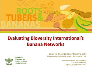 Evaluating Bioversity International’s 
Banana Networks 
Genowefa Blundo Canto and Elisabetta Gotor 
Bioversity International Impact Assessment Unit 
Presented by Inge Van den Bergh 
RTB Annual Meeting 
Uganda, 30 September 2014 
 