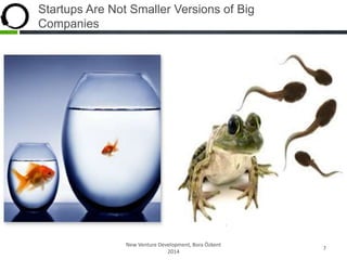 Startups Are Not Smaller Versions of Big
Companies
New Venture Development, Bora Özkent
2014
7
 