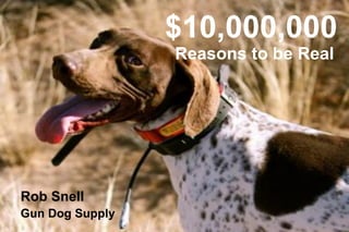 steve snell gun dog supply