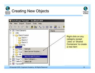 Day 2 Data Stage Manager 11.0