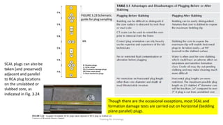 Day 2 d coring & core analysis and reservoir geology | PDF