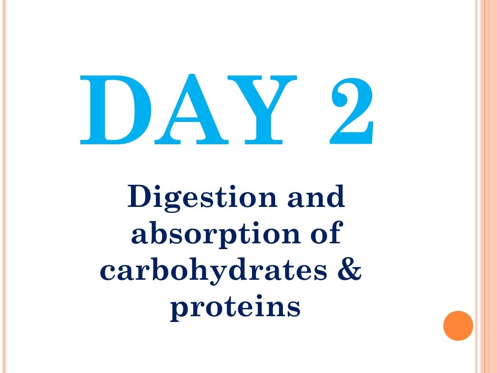 Digestion and absorption of carbohydrates and proteins