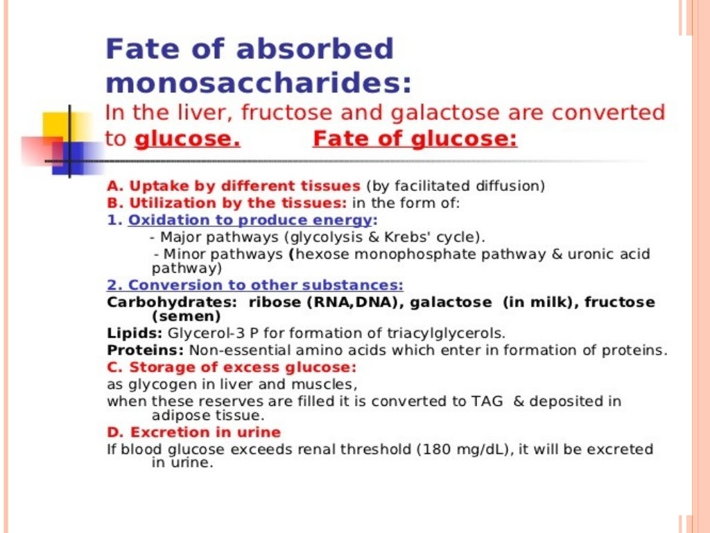 Digestion and absorption of carbohydrates and proteins