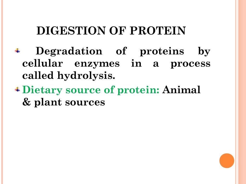 Digestion and absorption of carbohydrates and proteins
