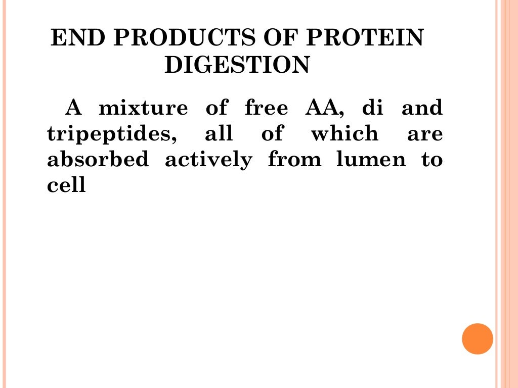 Digestion and absorption of carbohydrates and proteins