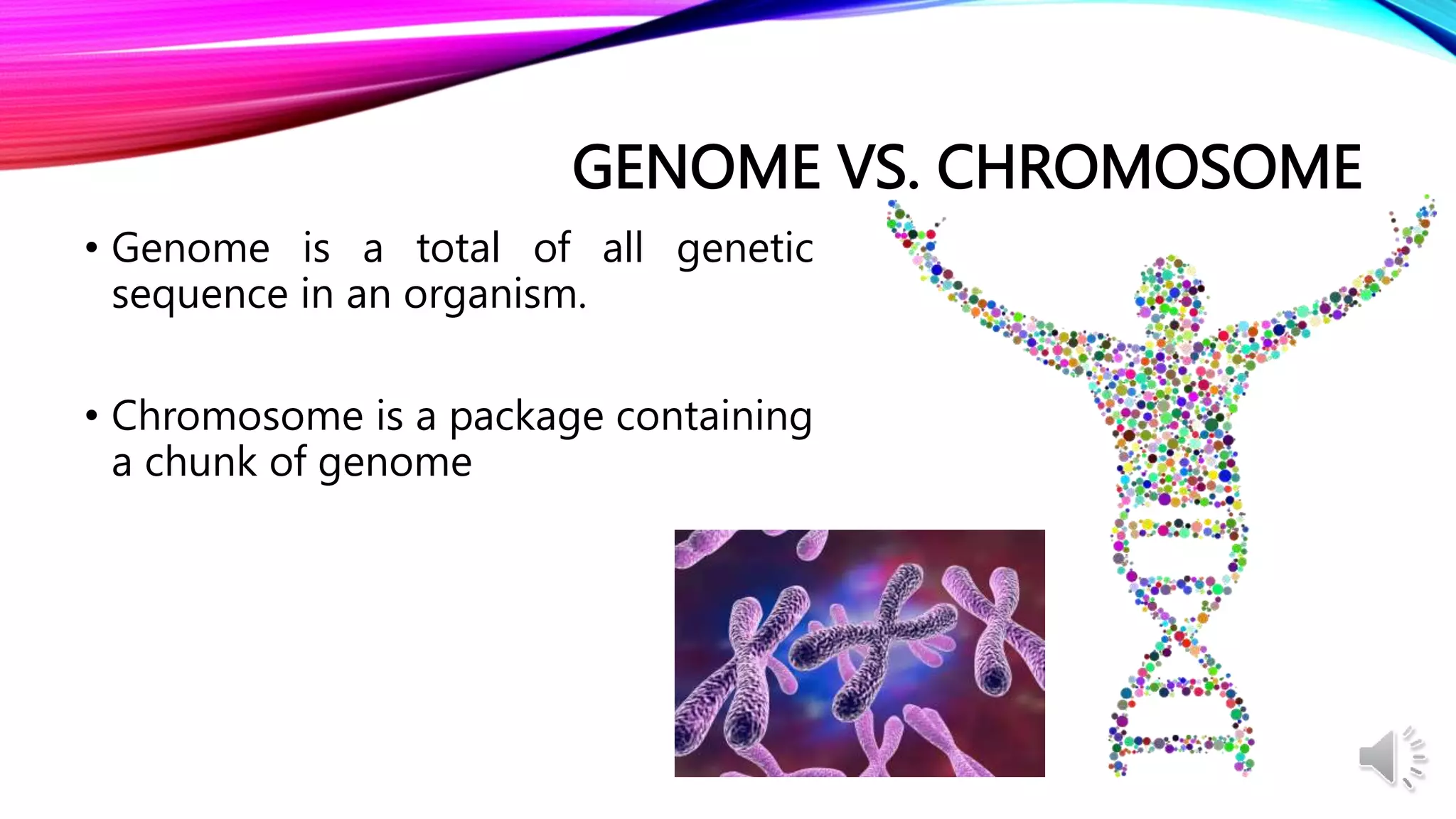 Day 2 Eukaryotic genome and its utilization in development and.pptx