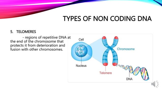 Day 2 Eukaryotic genome and its utilization in development and.pptx