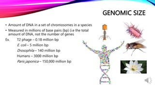 Day 2 Eukaryotic genome and its utilization in development and.pptx