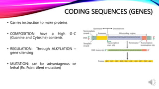 Day 2 Eukaryotic genome and its utilization in development and.pptx