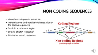 Day 2 Eukaryotic genome and its utilization in development and.pptx image.