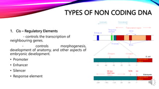 Day 2 Eukaryotic genome and its utilization in development and.pptx