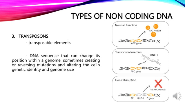 Day 2 Eukaryotic genome and its utilization in development and.pptx