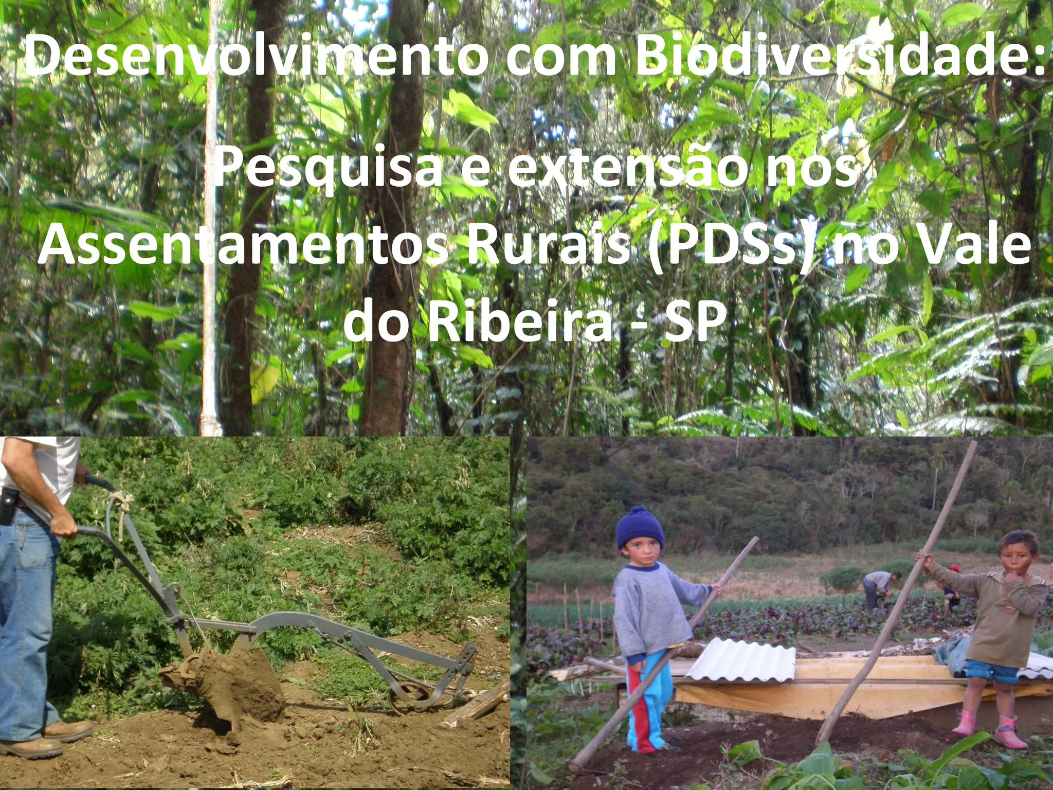 Desenvolvimento	
  com	
  Biodiversidade:	
  
	
  

             Pesquisa	
  e	
  extensão	
  nos	
  
       Assentamentos	
  Rurais	
  (PDSs)	
  no	
  Vale	
  
                 do	
  Ribeira	
  -­‐	
  SP	
  
 
