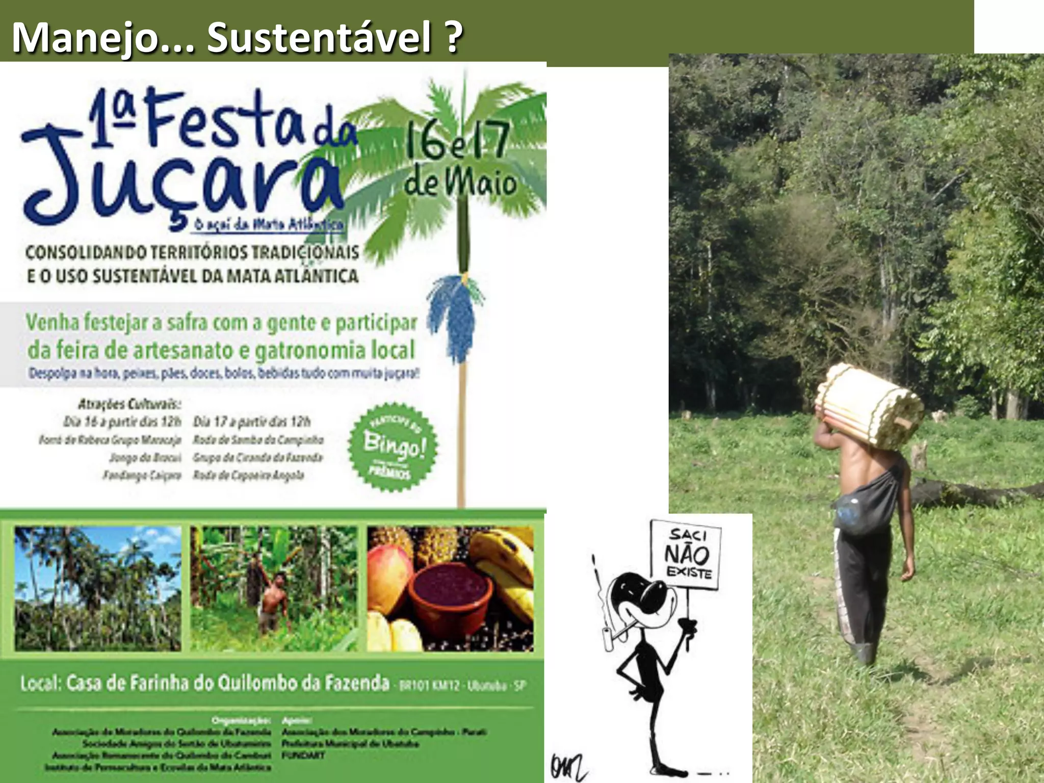 Manejo...	
  Sustentável	
  ?	
  

   	
  	
  
 