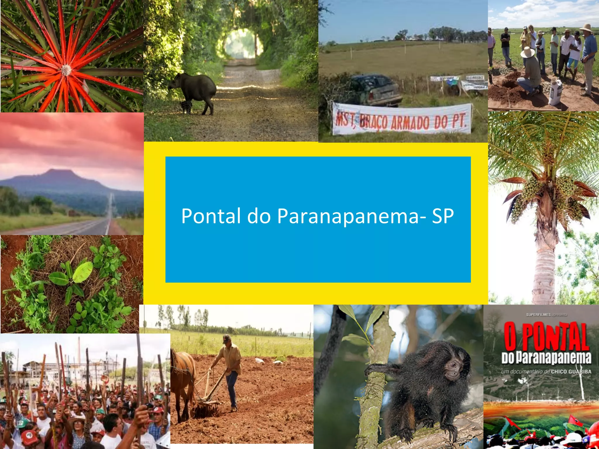 Pontal	
  do	
  Paranapanema-­‐	
  SP	
  
                   	
  
 