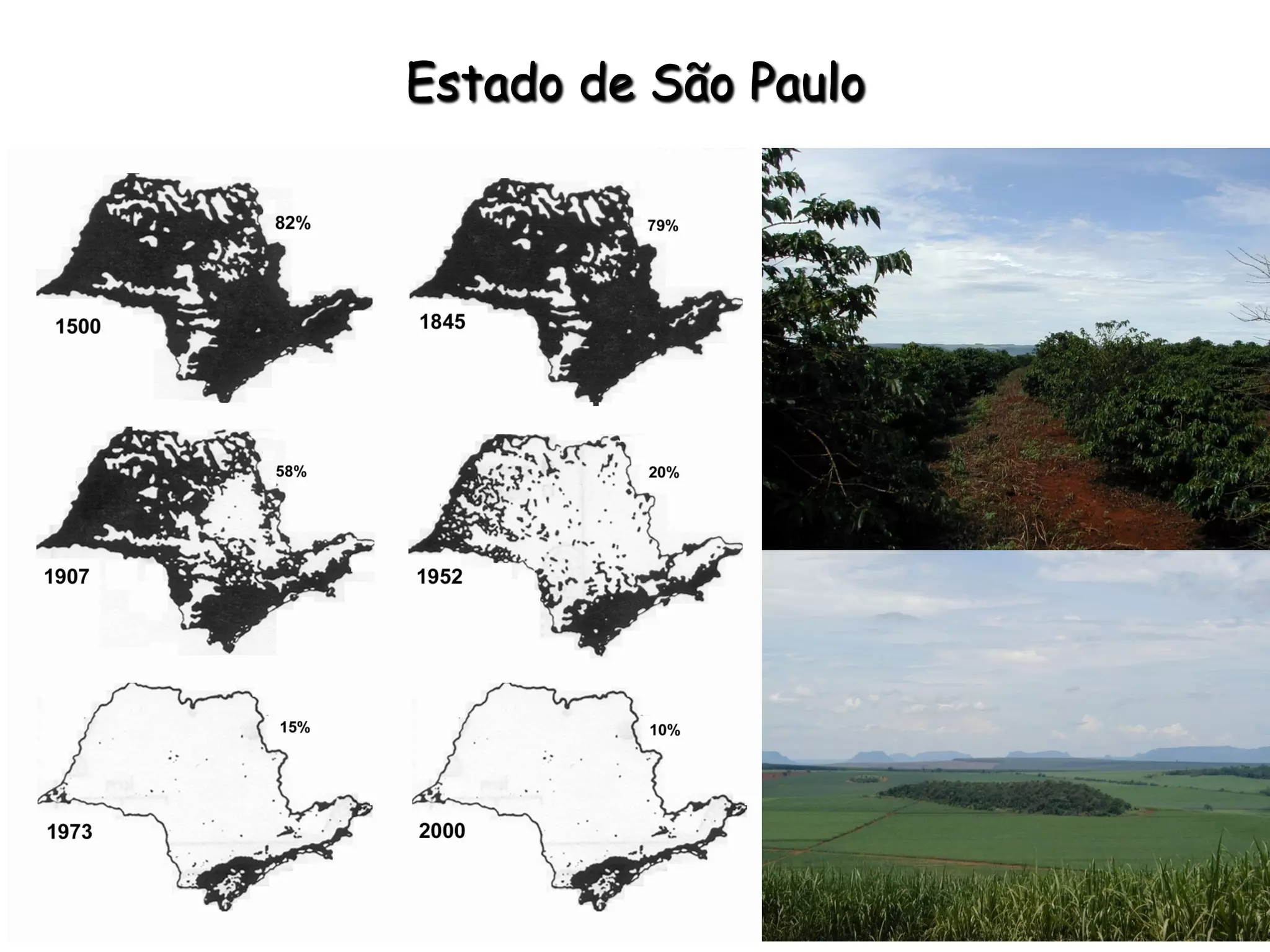 Estado de São Paulo
 