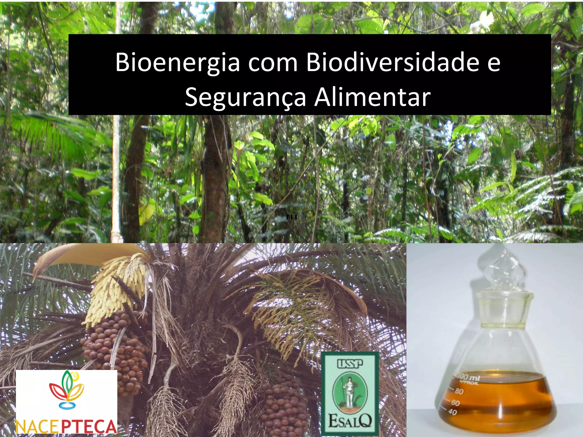  
                   	
  
Bioenergia	
  com	
  Biodiversidade	
  e	
  
     Segurança	
  Alimentar	
  
                   	
  
                   	
  
                   	
  
                   '''	
      	
  
                              	
  



                             	
  
 