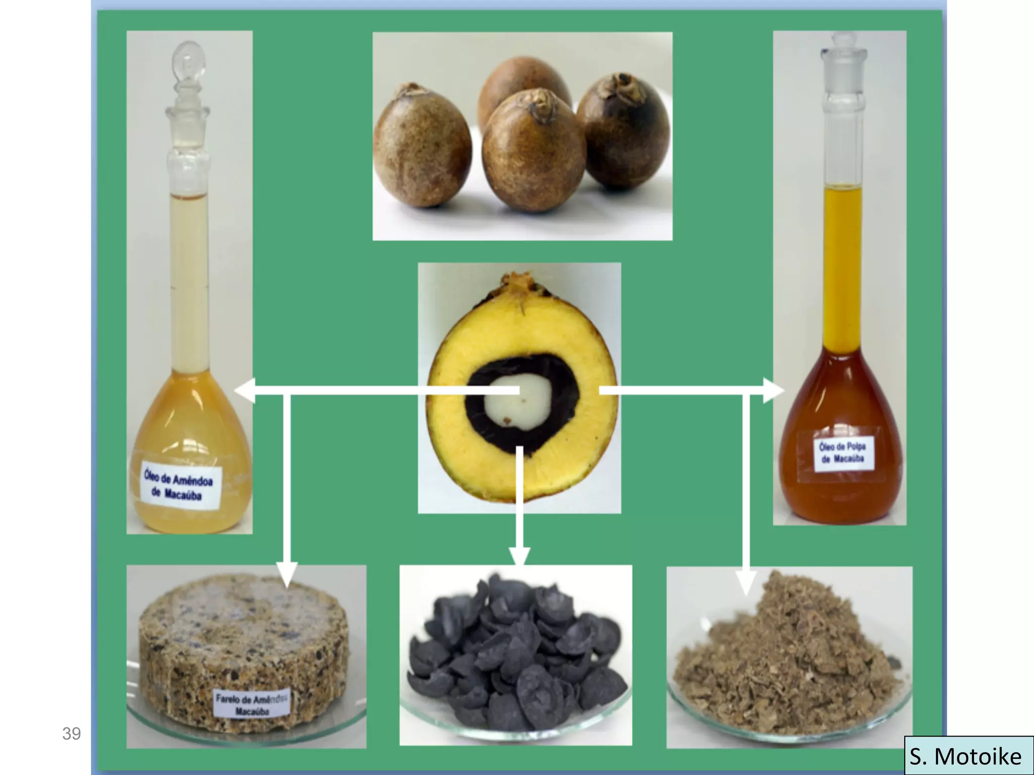 39
     S.	
  Motoike	
  
 