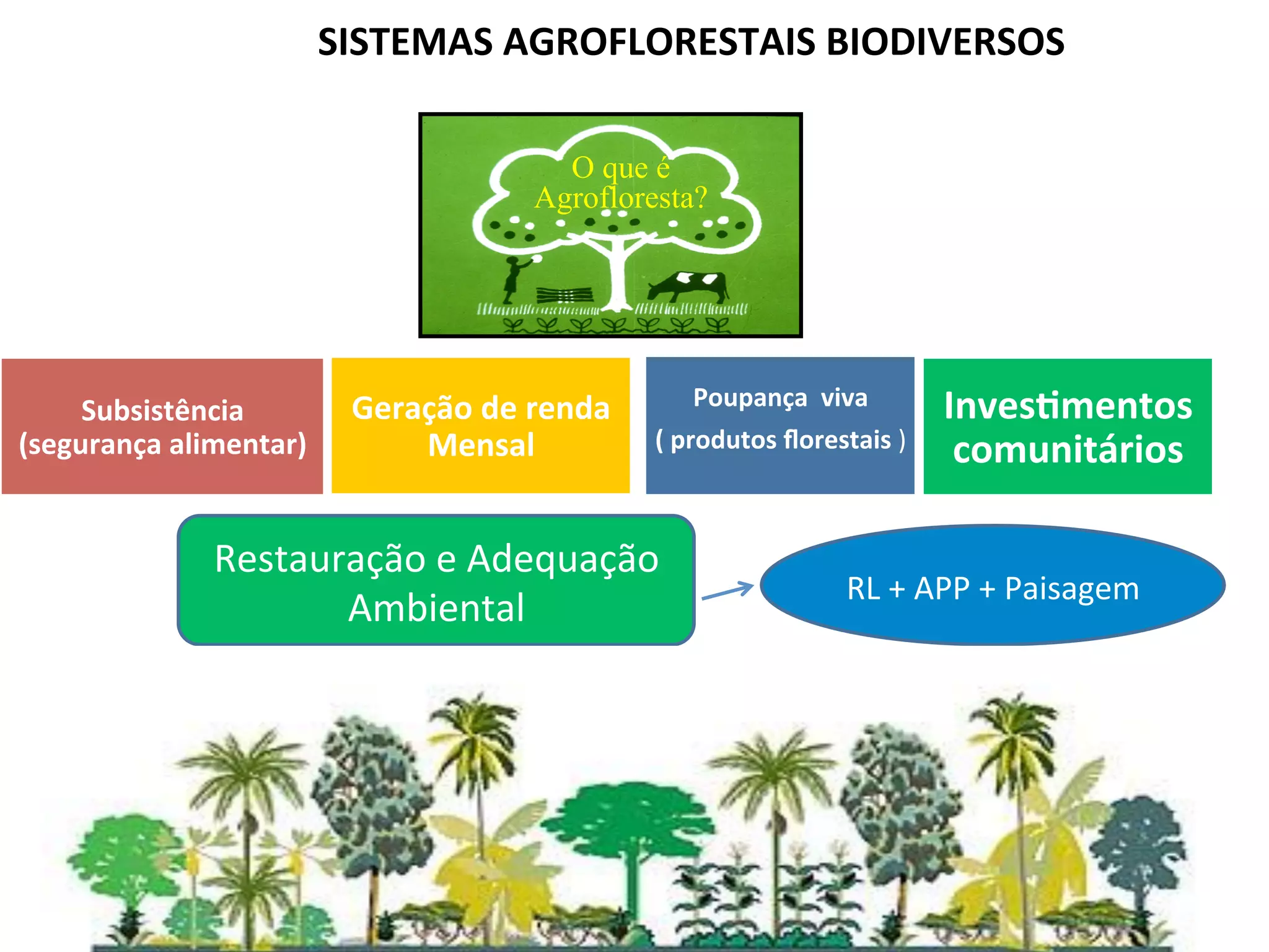 SISTEMAS	
  AGROFLORESTAIS	
  BIODIVERSOS	
  
  	
  
  	
  
                                                    O que é
  	
                                              Agrofloresta?
  	
  
  	
  
  	
  

     Subsistência	
              Geração	
  de	
  renda	
            Poupança	
  	
  viva	
         InvesVmentos	
  
(segurança	
  alimentar)	
           Mensal	
  	
             (	
  produtos	
  ﬂorestais	
  )	
      comunitários	
  
         	
  
  	
  
  	
              Restauração	
  e	
  Adequação	
  
         	
                                                                            RL	
  +	
  APP	
  +	
  Paisagem	
  
                         Ambiental	
  
  	
  
  	
  
 