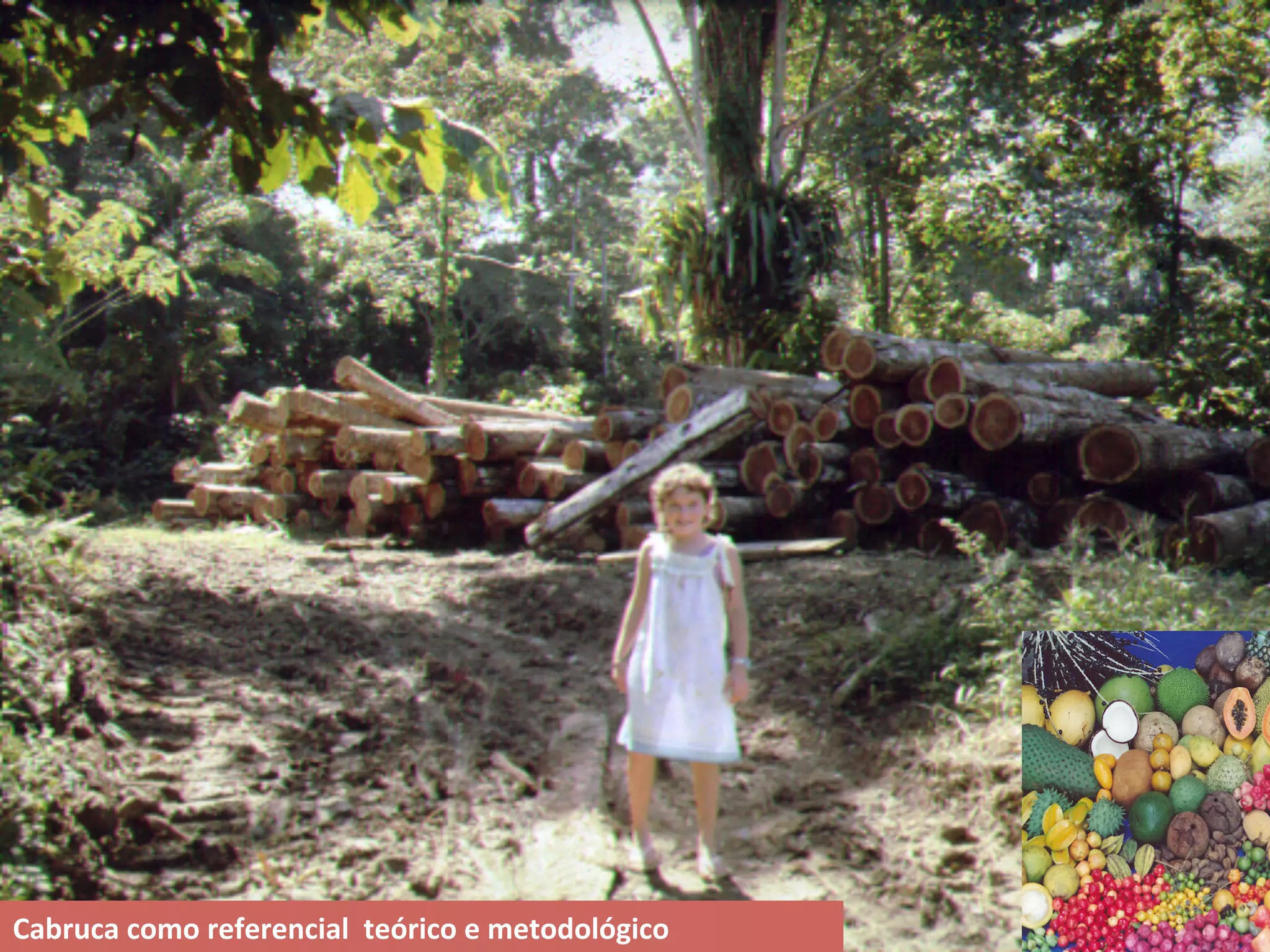 Cabruca	
  como	
  referencial	
  	
  teórico	
  e	
  metodológico	
  
 