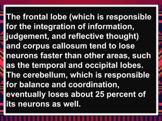 The frontal lobe (which is responsible
for the integration of information,
judgement, and reflective thought)
and corpus callosum tend to lose
neurons faster than other areas, such
as the temporal and occipital lobes.
The cerebellum, which is responsible
for balance and coordination,
eventually loses about 25 percent of
its neurons as well.
 