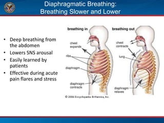 Diaphragmatic Breathing:
Breathing Slower and Lower
• Deep breathing from
the abdomen
• Lowers SNS arousal
• Easily learned by
patients
• Effective during acute
pain flares and stress
 