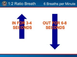 1:2 Ratio Breath 6 Breaths per Minute
 