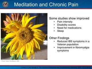 Meditation and Chronic Pain
Some studies show improved
• Pain intensity
• Disability scores
• Need for medications
• Sleep
Other Findings
• Reduced IBS symptoms in a
Veteran population
• Improvement in fibromyalgia
symptoms
Photo: Adam Rindfleisch, MD
Chiesa, A. and Serretti, A. The Journal of Alternative and Complementary Medicine. 2011. 17(1): 83-93.
 