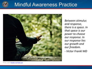 Mindful Awareness Practice
Between stimulus
and response,
there is a space. In
that space is our
power to choose
our response. In
our response lies
our growth and
our freedom. -
- Victor Frankl MD
Photo credit: HckySo via Foter.com
 