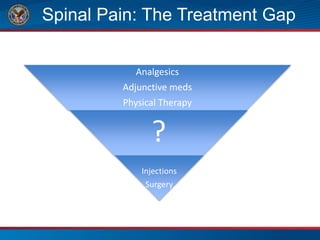 Spinal Pain: The Treatment Gap
Analgesics
Adjunctive meds
Physical Therapy
?
Injections
Surgery
 