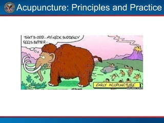 Acupuncture: Principles and Practice
 
